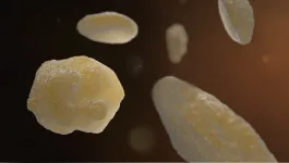 Multiple 3D white blood cells in flowing through a blood vessel 