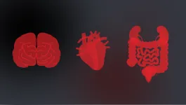 Vivid blood red icons of lungs on left, then heart and intestines on right, all on black background