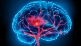 Glowing blue outline of brain with network of red blood vessels entering it and focal hotspot of red activity in middle