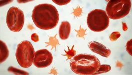 Red spherical blood cells suspended in mid motion with orange spikey platelets scattered among them 